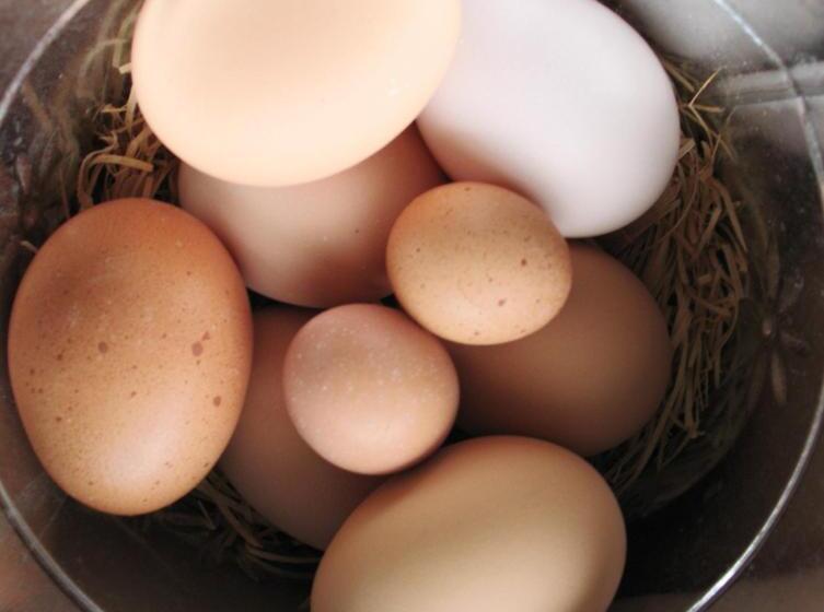 Riverboat Bed & Breakfast