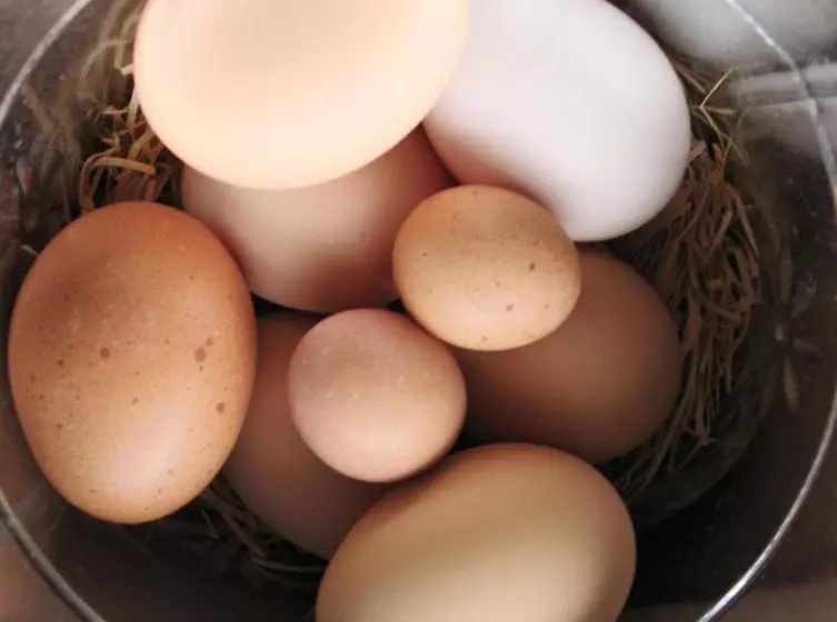 Riverboat Bed & Breakfast