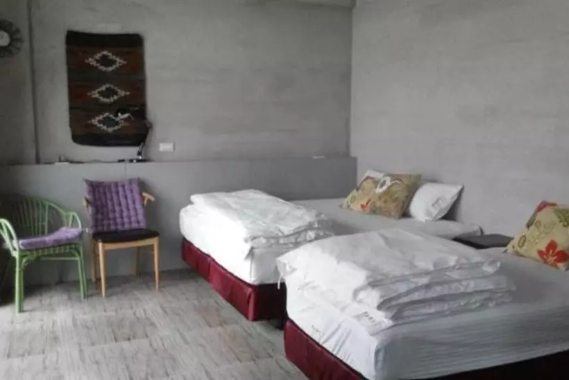 تختخواب و صبحانه Capybara Hostel