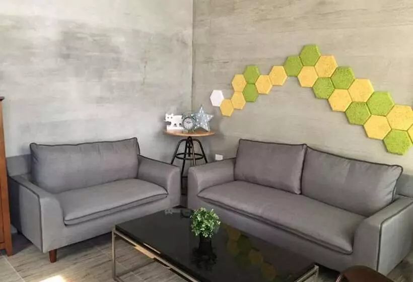 تختخواب و صبحانه Capybara Hostel