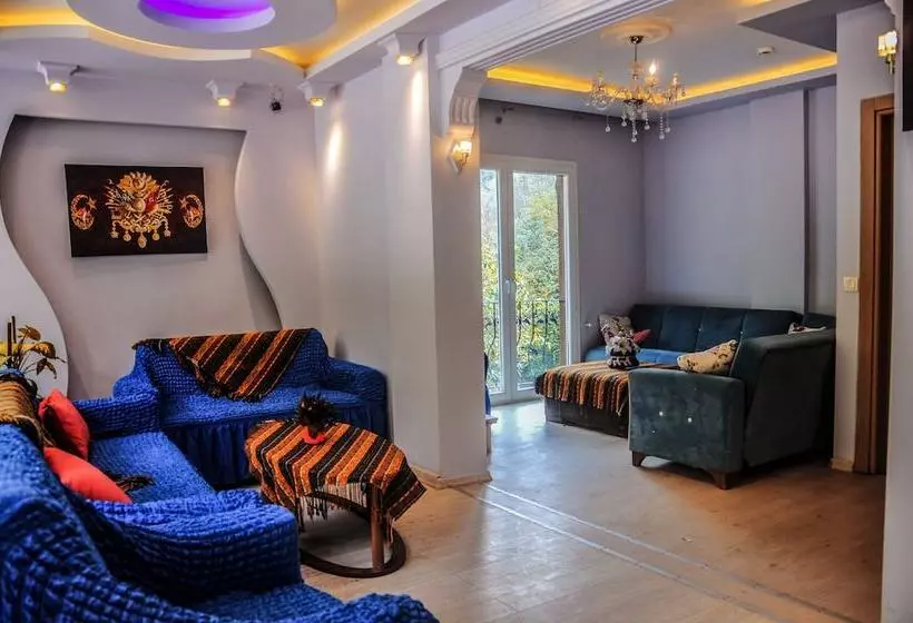 هتل Ayder Valley Palace