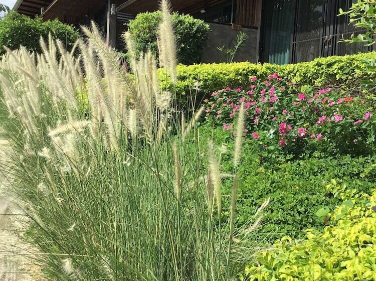 هتل The Like Resort