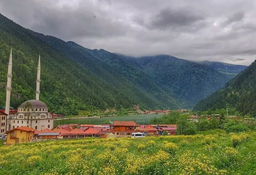 Ilhan Kardesler Apart