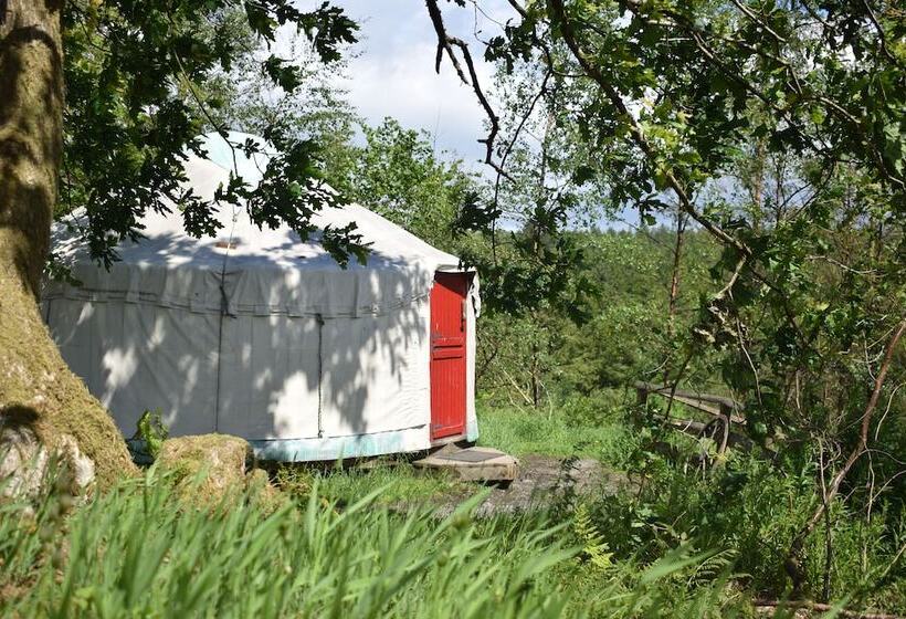Marthrown Of Mabie Hostel