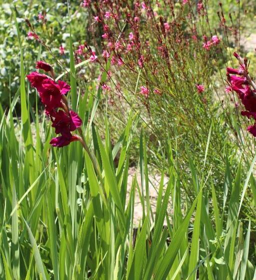 Пансион Au Coeur De Rennes Chambres D Hôtes