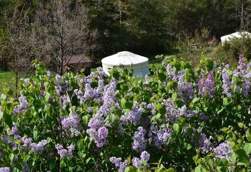 פנסיון Destination Ailleurs