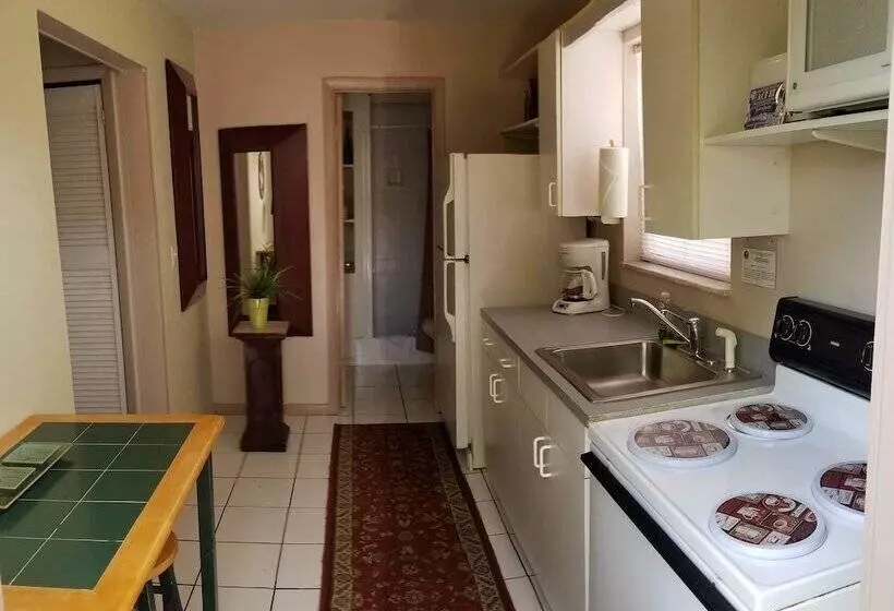 پانسیون Inn Leather Guest House Gay Male Only