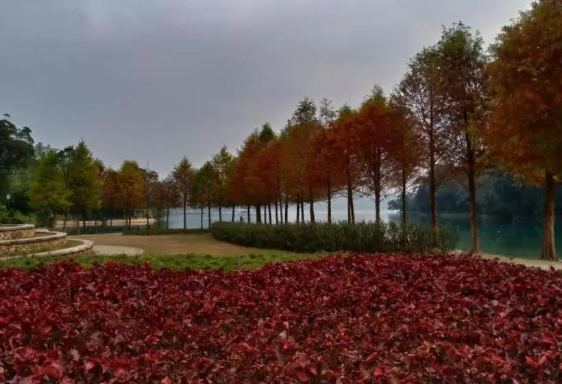 پانسیون Sun Moon Lake Friday Inn Backpacking