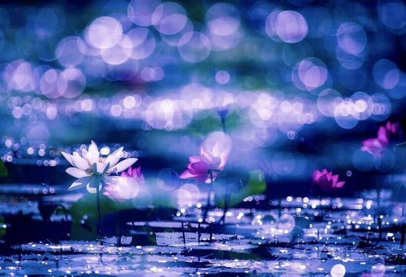 膳宿费 Sun Moon Lake Friday Inn Backpacking