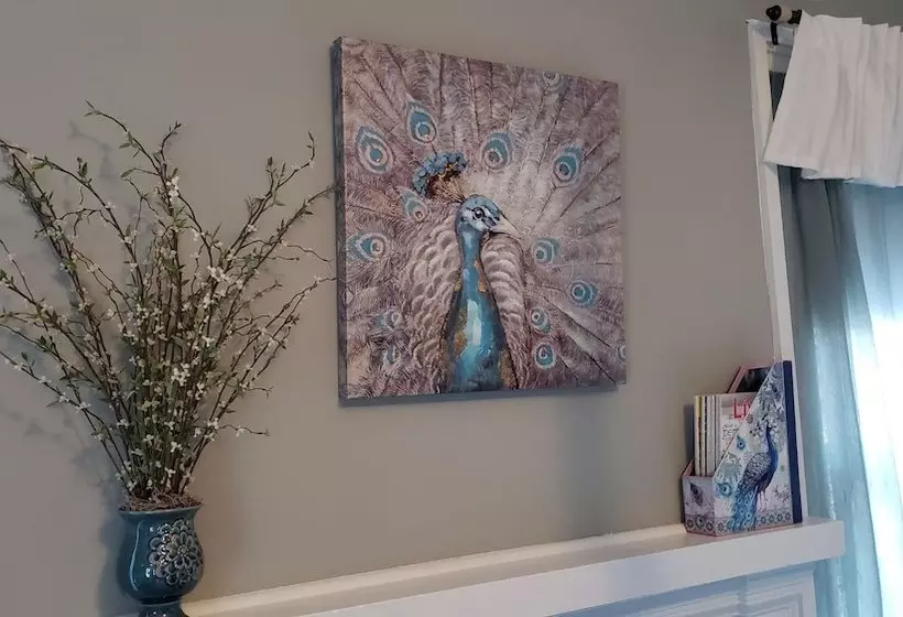 Silly Chickens Lodge B&b