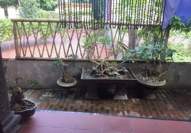 هاستل Anh Huong Tam Coc Homestay