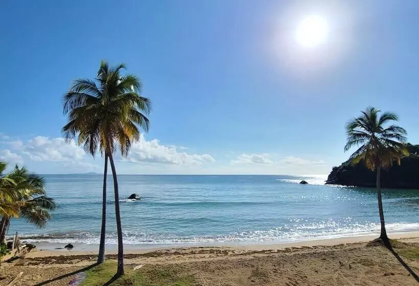 هتل Parador Palmas De Lucia