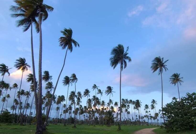 هتل Parador Palmas De Lucia