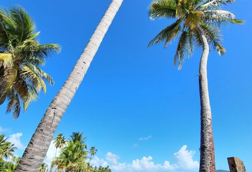 هتل Parador Palmas De Lucia