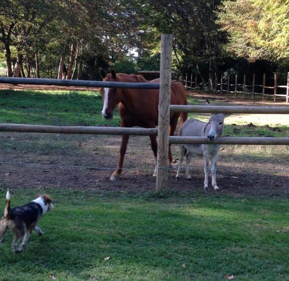 تختخواب و صبحانه Chateau Du Val Larbont