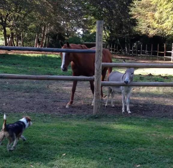 ベッドアンドブレックファースト Chateau Du Val Larbont