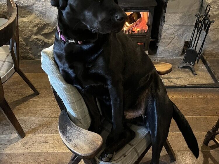 فندق فئة نجمة واحدة The Crewe Arms