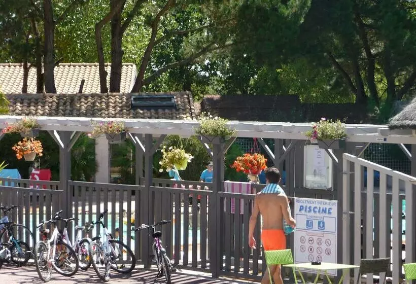 هتل Camping Clos Moulin