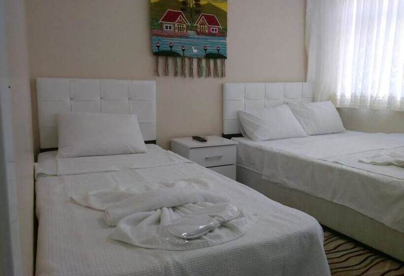 Istanbul Grand Aparts