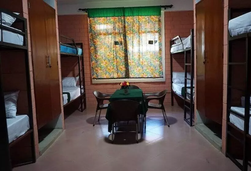 Kilimanjaro Eco Hostel