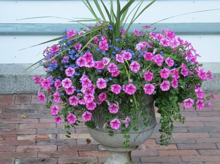 민박 The Silver Fountain Inn