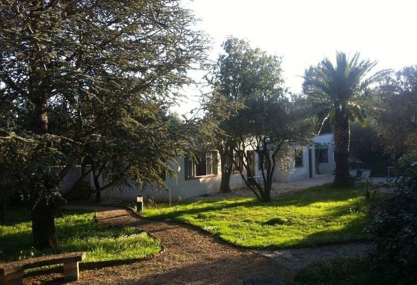 Du Coté De Chez Soi