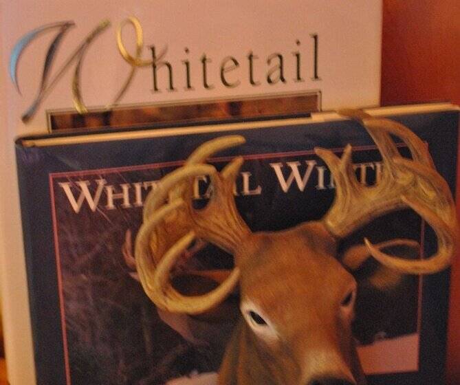 Horton Creek Inn B&b