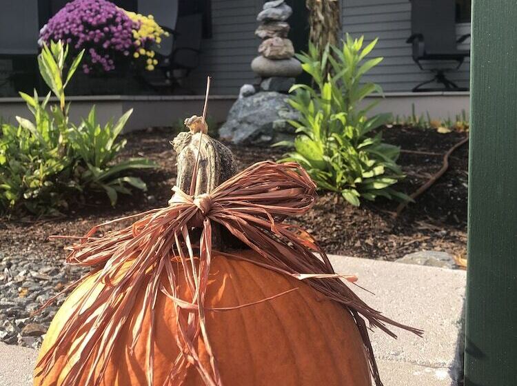 בית מלון כפרי Island Place