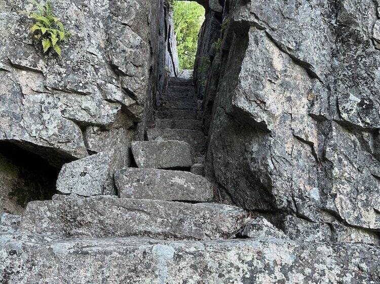 בית מלון כפרי Island Place