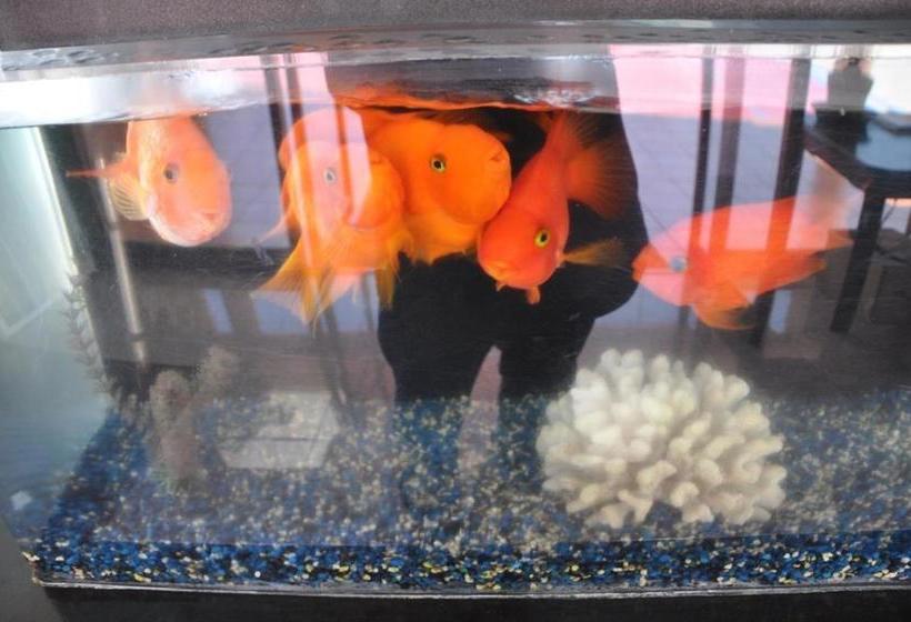 Szálloda Lax Suites