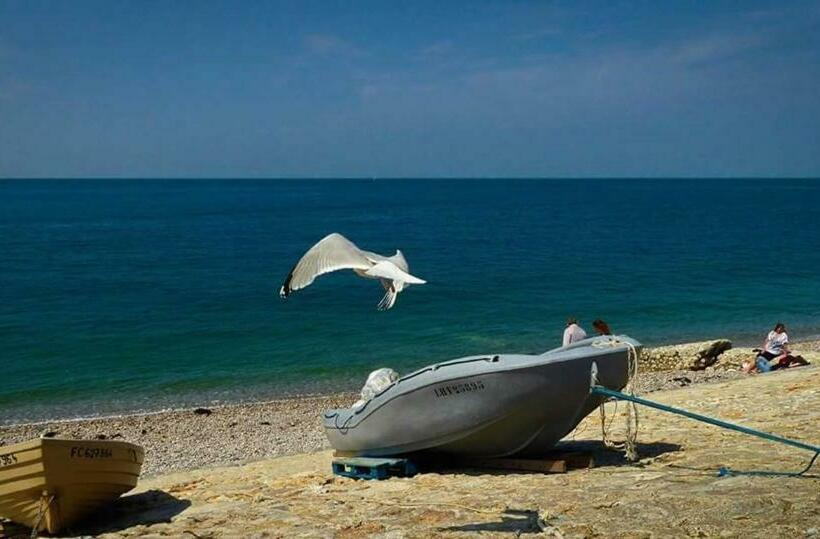 Les Gîtes Havrais Bis