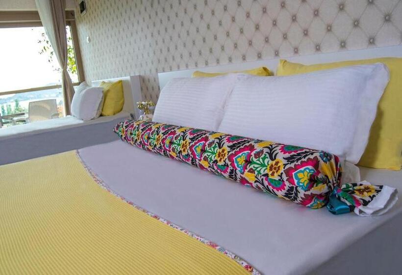 مبيت وإفطار Assos Longevity