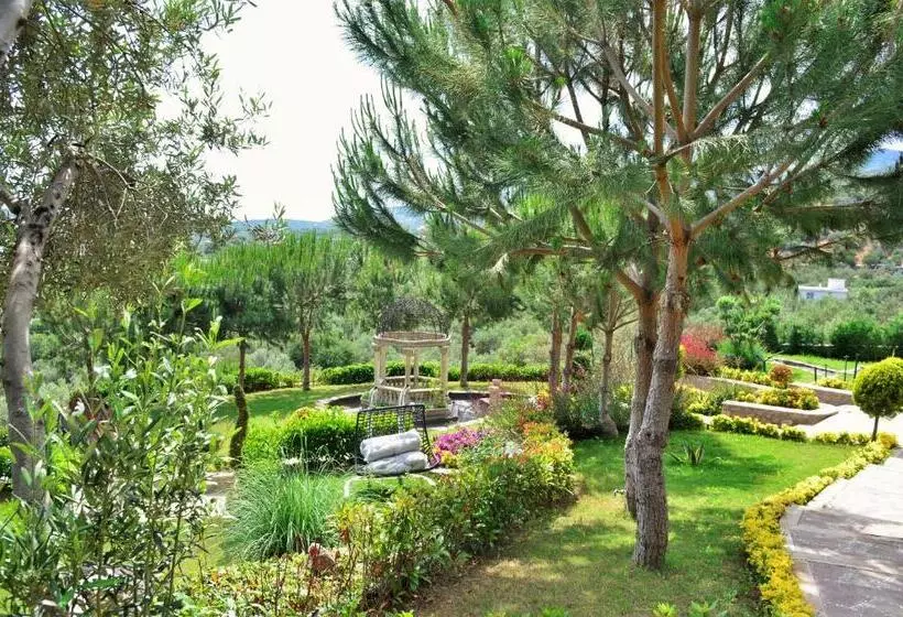 Aamiaismajoitus (B&B) Assos Longevity