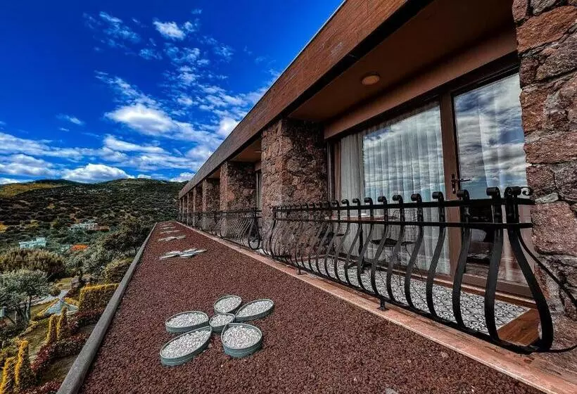 Aamiaismajoitus (B&B) Assos Longevity