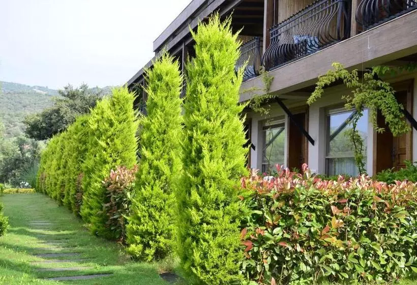 Aamiaismajoitus (B&B) Assos Longevity