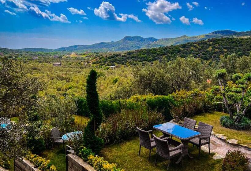 مبيت وإفطار Assos Longevity