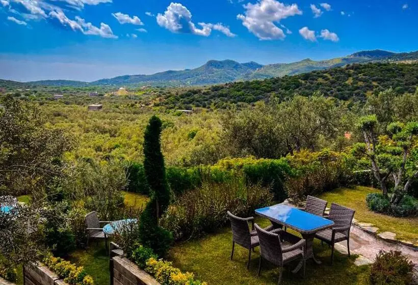 Aamiaismajoitus (B&B) Assos Longevity