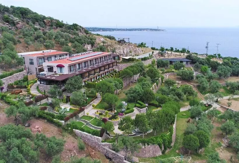 Aamiaismajoitus (B&B) Assos Longevity