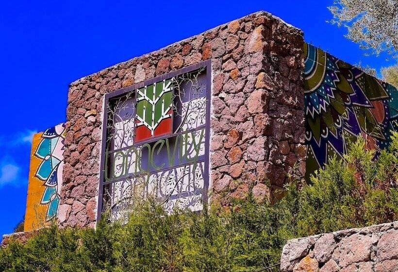 مبيت وإفطار Assos Longevity