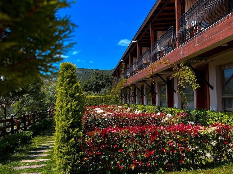 مبيت وإفطار Assos Longevity