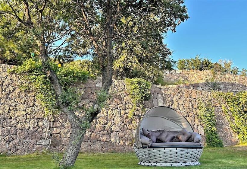 مبيت وإفطار Assos Longevity