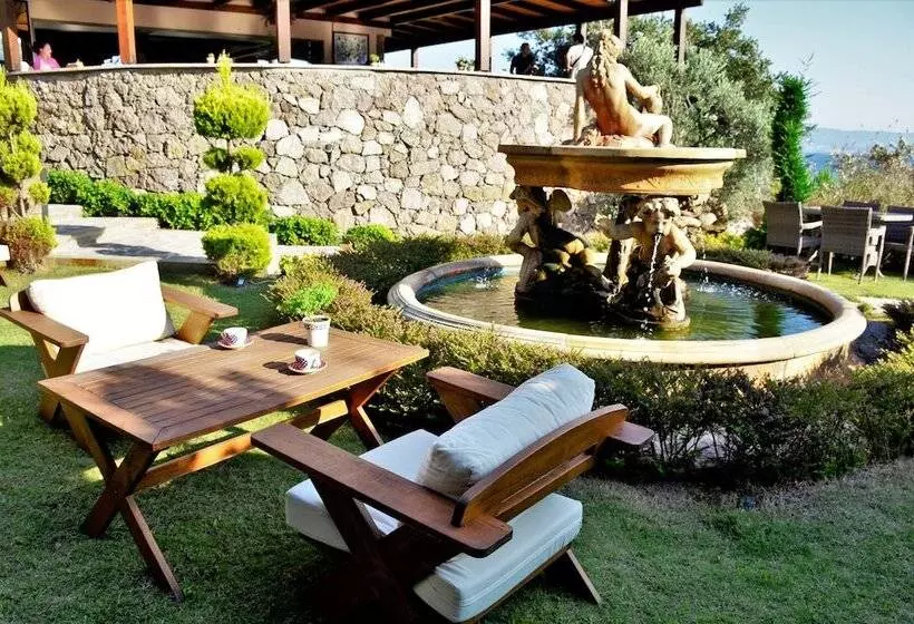 Aamiaismajoitus (B&B) Assos Longevity