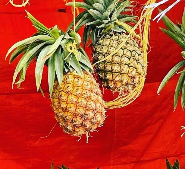 مبيت وإفطار Green S Nungwi