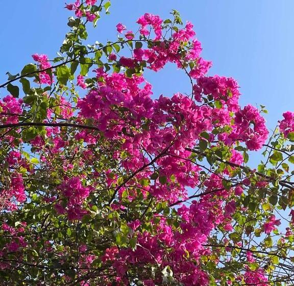 مبيت وإفطار Green S Nungwi