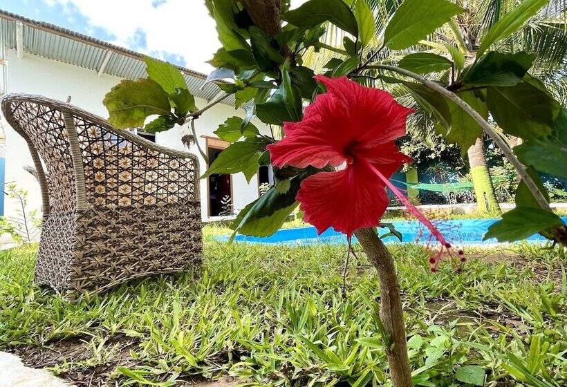 مبيت وإفطار Green S Nungwi