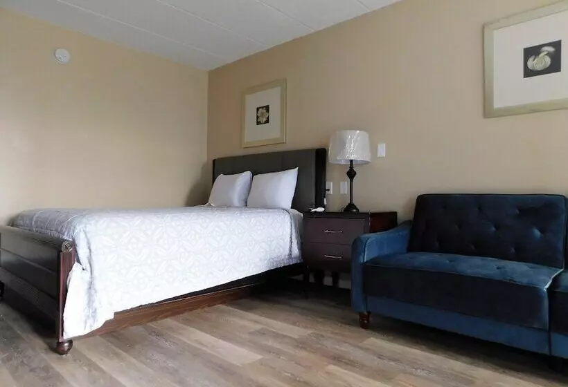 ホテル Apm Inn And Suites