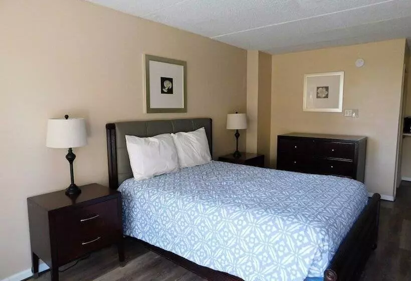 ホテル Apm Inn And Suites