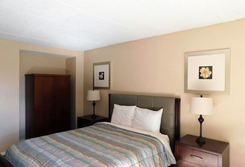 酒店 Apm Inn And Suites