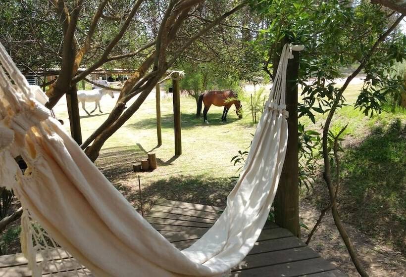 Hotel Las Casquivanas