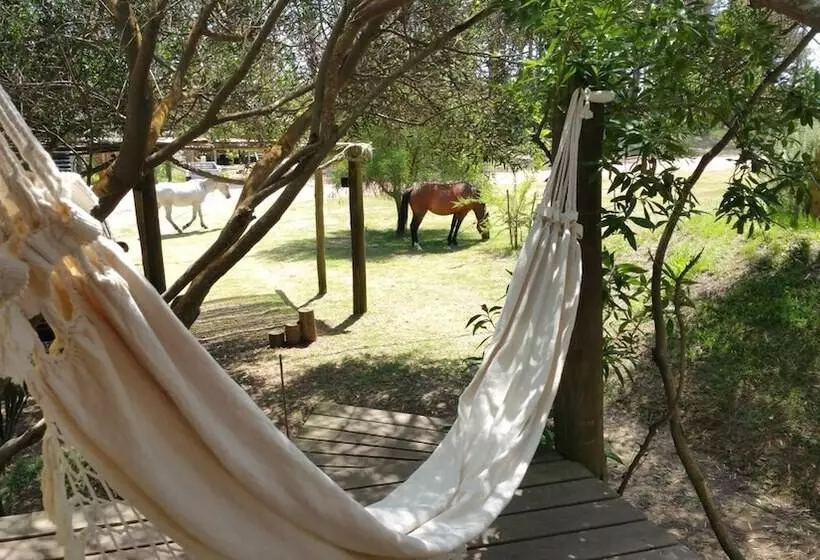 Hotelli Las Casquivanas